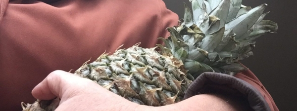 Image of mixed ecologies series 2015-8 - pineapple radar - image from walk