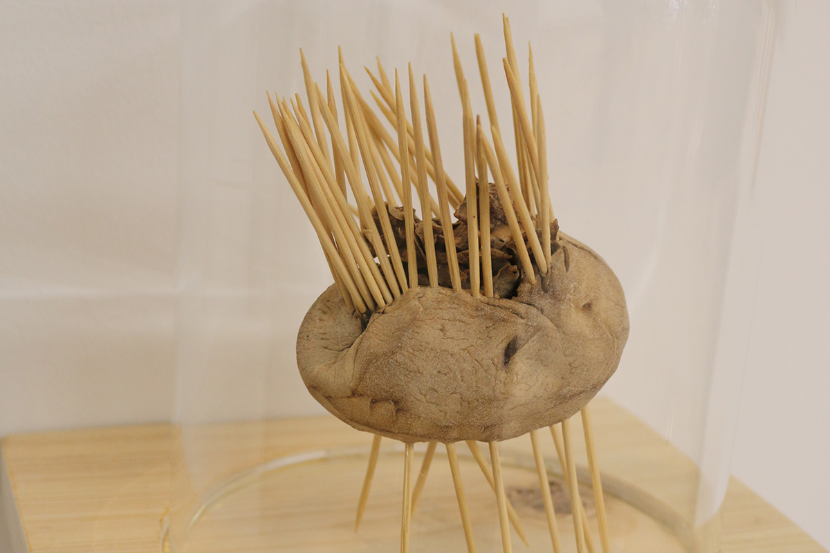 Ballydown exhibit in Virtually There exhibition - Kids Own - Inside Outside sculpture - potato with cocktail sticks