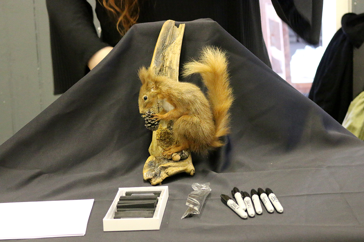 Creative session by Sarah Ellen Lundy with squirrel as drawing prop